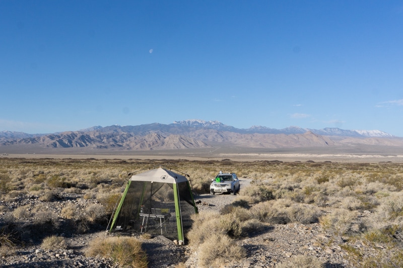 Camping Mt Charleston Background