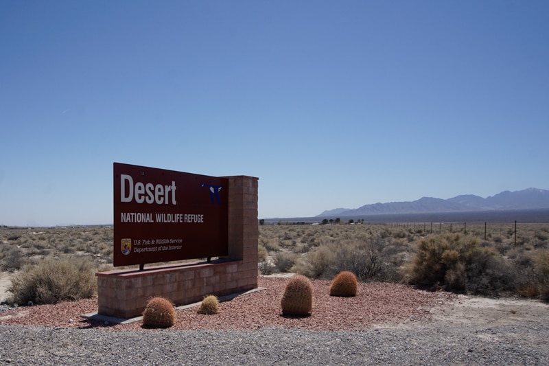 Desert National Wildlife Refuge