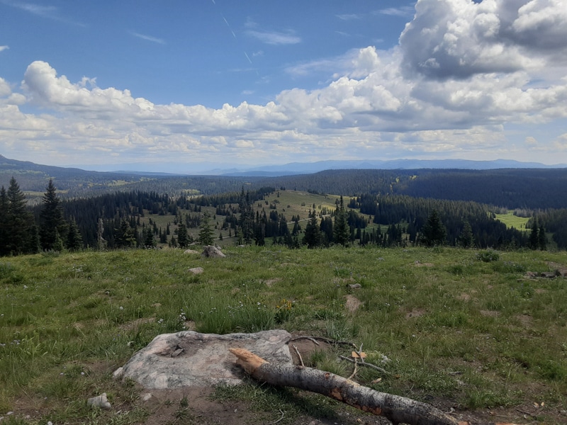 free camping above Steamboat Springs