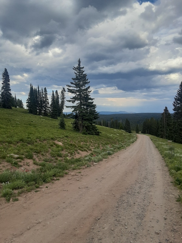 free camping steamboat springs, and image of forest road 302 for dispersed camping