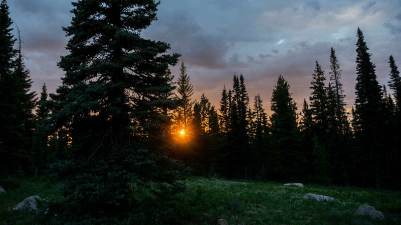 Best Free Camping near Steamboat Springs: 5 Dispersed Camping Spots ...