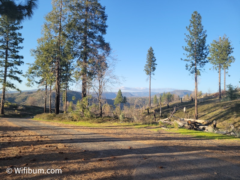 Near Yosemite Camp