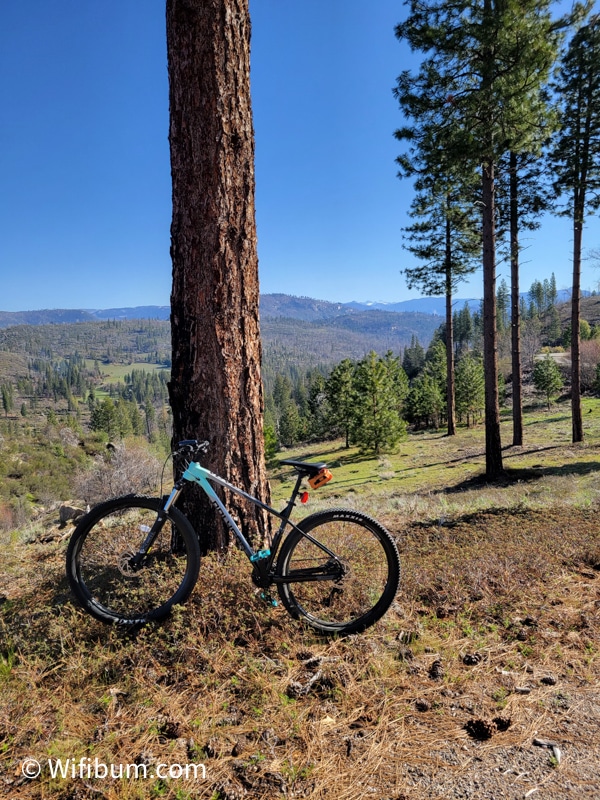 biking forest roads near yosemite