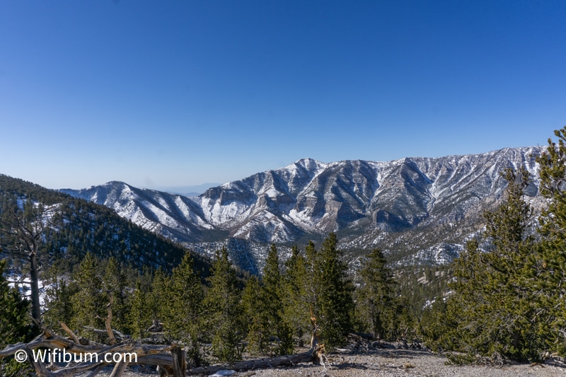 Spring Mountains Hiking Las Vegas