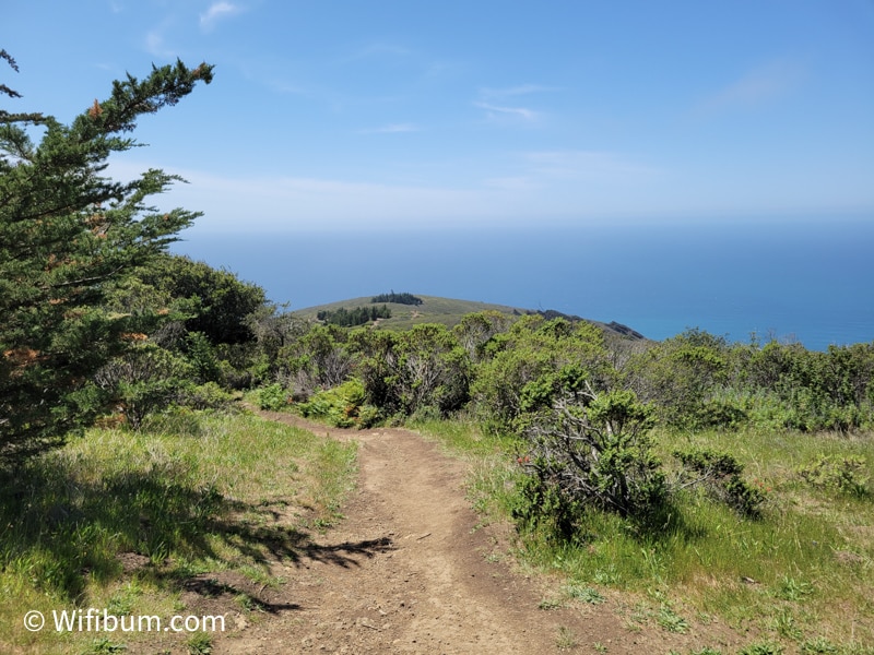 hiking trail ocean