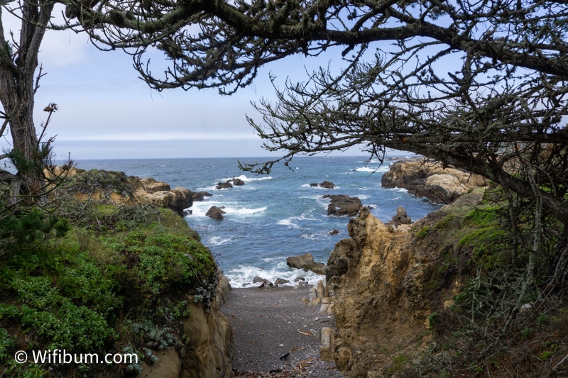 point lobos