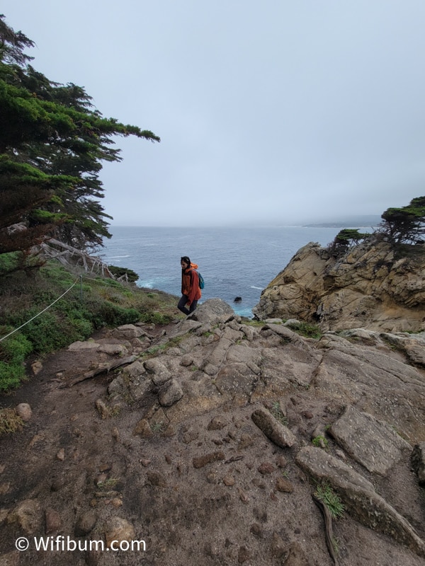 point lobos