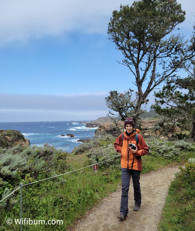 point lobos