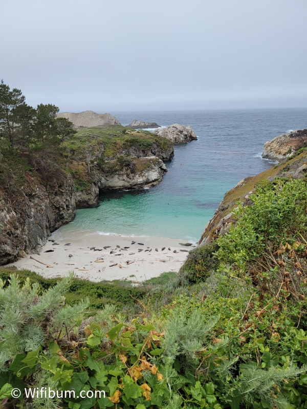 point lobos