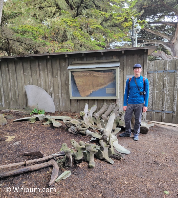 point lobos