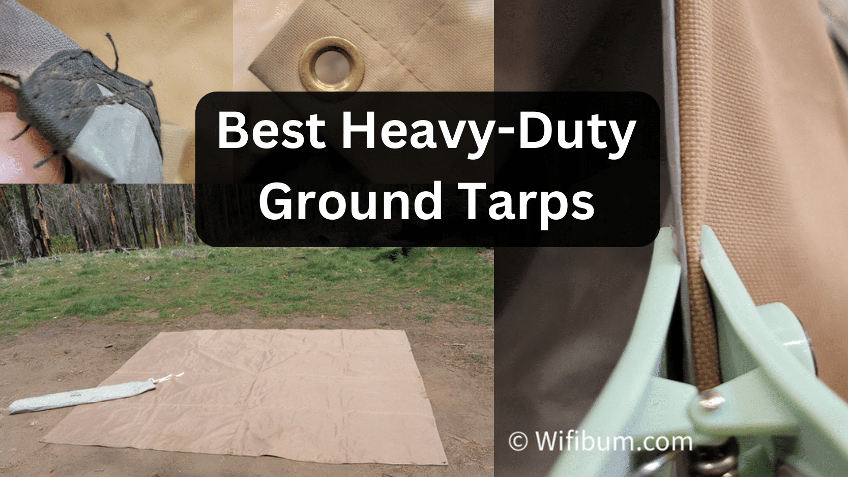 Best Ground Tarps for Camping: Heavy Duty vs Cheap
